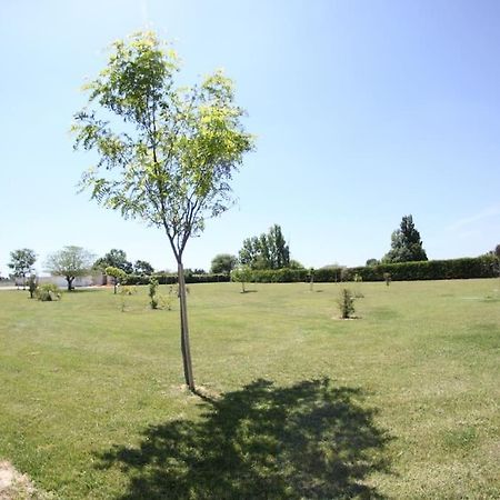 Appartement A 10Km De La Grande Motte, Palavas... Lunel  Dış mekan fotoğraf