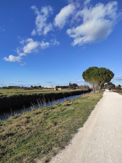 Appartement A 10Km De La Grande Motte, Palavas... Lunel  Dış mekan fotoğraf