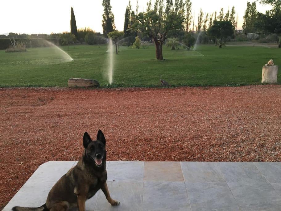 Appartement A 10Km De La Grande Motte, Palavas... Lunel  Dış mekan fotoğraf